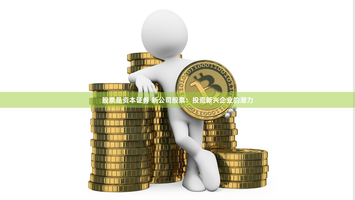 股票是资本证券 新公司股票：投资新兴企业的潜力