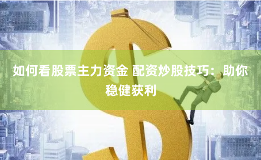 如何看股票主力资金 配资炒股技巧：助你稳健获利