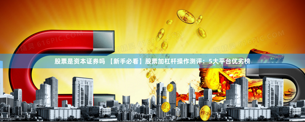 股票是资本证券吗 【新手必看】股票加杠杆操作测评：5大平台优劣榜